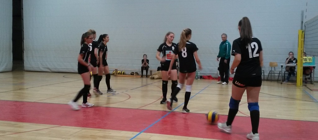 VB banner
