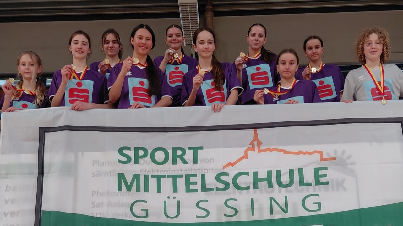 Handball LM 2026 03 10 13 banner